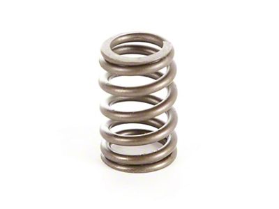 Omix-ADA Valve Spring- 87-97 YJ/XJ/MJ/ZJ/SJ - 17402.10