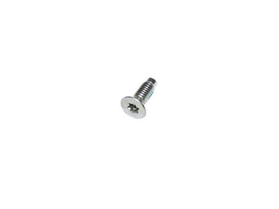 Omix-ADA Windshield Hinge Screw 76-95 Jeep CJ & Wrangler - 12029.06