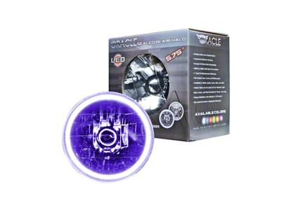 Oracle Pre-Installed Lights 5.75 IN. Sealed Beam - UV/Purple Halo - 6904-007