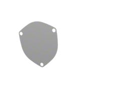 QTP 4in Bolt-On 3 Bolt Cover Plate - 10400C