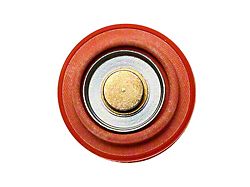 Radium Engineering Diaphragm Service Replacement FPR - 18-0017