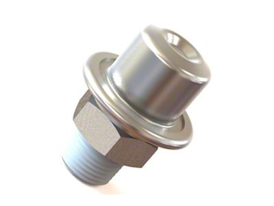 Radium Engineering Fuel Pulse Damper - 14-0128