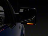 Raxiom 04-14 Ford F-150 Axial Series Side Mirror LED Turn - T542597