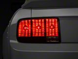 Raxiom 05-09 Ford Mustang Tail Lights- Black Housing Smoked Lens - 49066