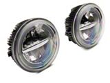 Raxiom 05-11 Toyota Tacoma 07-13 Toyota Tundra Axial Series LED - TT11765