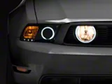 Raxiom 05-12 Ford Mustang GT LED Halo Fog Lights Smoked - 49134