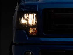 Raxiom 09-14 Ford F-150 Axial OEM Style Rep Headlights- Chrome - T551344