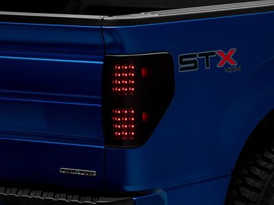Raxiom 09-14 Ford F-150 Styleside Axial Series LED Tail Lights- T565678