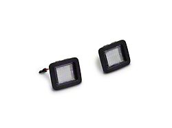 Raxiom 15-23 Ford F-150 Axial Series LED License Plate Lamps - T542565