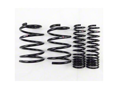 RS-R 08+ Mitsubishi Evolution X CZ4A Down Sus Springs - B250D