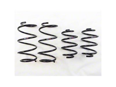 RS-R 13+ Nissan Sentra TB17 B17 Down Sus Springs - N205D