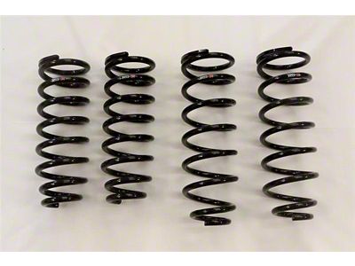 RS-R 01-06 Lexus LS430 UCF30/31 Down Sus Springs - T284D