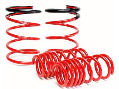 Skunk2 Racing 05-06 Acura RSX Lowering Springs 2.25in - 2.00in. Set - 519-05-1672