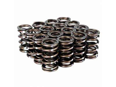 Skunk2 Racing Pro Series Honda/Acura K-Series i-VTEC XP Valve Spring Set - 311-05-7380