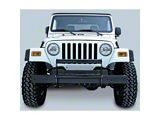 Rugged Ridge Brush Guard Gloss Black 97-06 Jeep Wrangler - 11511.02