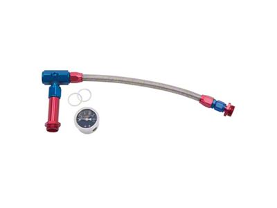 Russell 6AN to 3/8in Female NPT ProFlex Holley - 641100