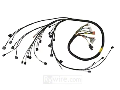 Rywire 02-04 K-Series RWD Mil-Spec Eng Harn w/02-04 Wiring/K-Pro/S2K Tran/K-Ser - 02-04 K2-RWD