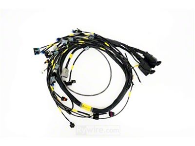 Rywire GM LS3 V8 E38 ECU Engine Harness w/Bosch MAP - LS3-E38