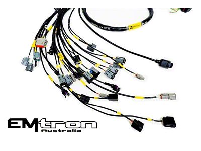 Rywire K-Series Naturally Aspirated w/Emtron KV8 ECU Engine Harness w/4 - NA