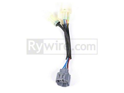 Rywire OBD0 to OBD2B 8-Pin Distributor Adapter - RY-DIS-0-2-8-PIN