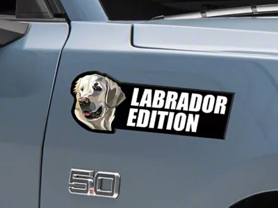 SEC10 Domed Dog Breed Printed Decal; Labrador Yellow (Universal; Some Adaptation May Be Required)
