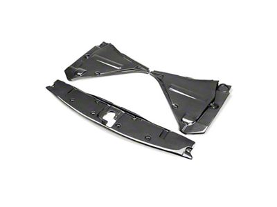 Seibon Carbon 09-10 Nissan GT-R R35 Carbon Fiber Cooling Plate - CP0910NSGTR