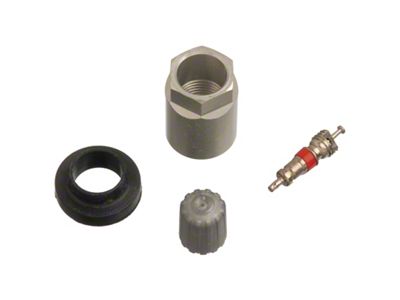 Schrader TPMS Service Pack - Infiniti/Nissan - 25 Pack - 20007-25
