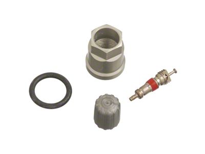 Schrader TPMS Service Pack - Chevrolet/Chrysler/Plymouth - 25 Pack - 20012-25