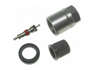 Schrader TPMS Service Pack - Nissan - 25 Pack - 20014-25