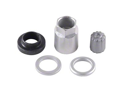 Schrader TPMS Service Pack - Beru Stems No Valve - 20023-25
