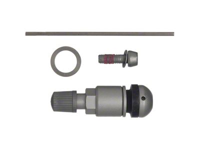 Schrader TPMS Service Pack - Silver Insert - Audi/BMW/Hyundai/Kia/Mercedes/Porsche/VW - 20037