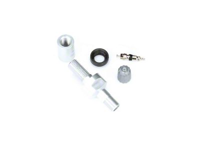 Schrader TPMS Service Pack - Straight Aluminum Valve Stem Assembly - 25080-4