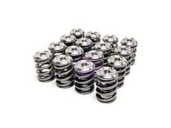 Skunk2 Racing Alpha Series B Series Valve Spring and Titanium - 344-05-1300