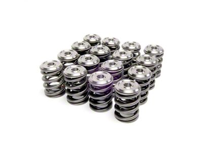 Skunk2 Racing Alpha Series B Series Valve Spring and Titanium - 344-05-1300