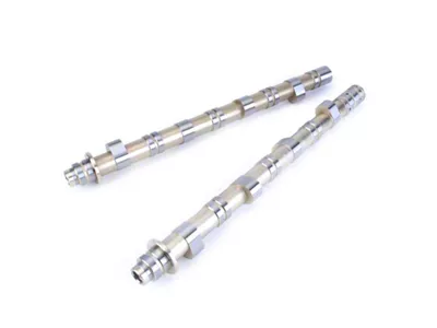Skunk2 Racing Honda K20A/K20A2/K24A2 BMF1 Camshafts - 305-05-7100