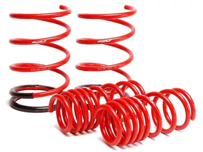 Skunk2 Racing 01-05 Honda Civic Lowering Springs 2.25in - 2.00in. Set - 519-05-1570