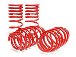 Skunk2 Racing 06-09 Honda Civic Lowering Springs 2.25in - 2.00in. Set - 519-05-1580