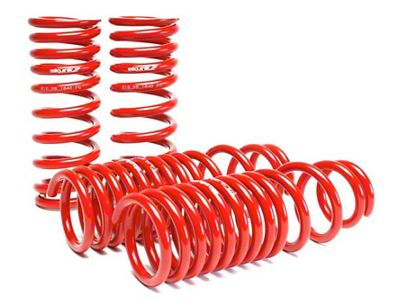 Skunk2 Racing 90-93 Acura Integra Lowering Springs 2.50in - 2.25in. Set - 519-05-1640