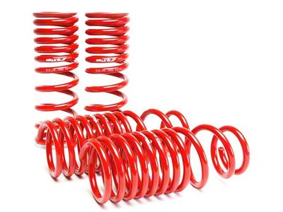 Skunk2 Racing 88-91 Honda Civic/CRX Lowering Springs 2.50in - 2.25in. Set - 519-05-1650