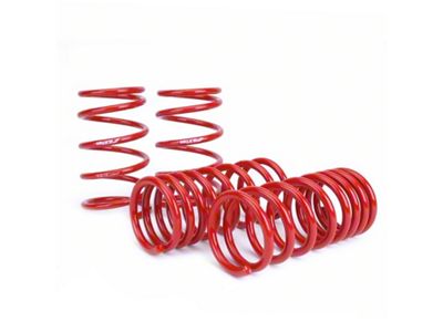 Skunk2 Racing 2013 FR-S/BRZ/FT86 Lowering Springs Set of 4 - 519-12-1001