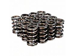 Skunk2 Racing Pro Series VTEC XP Valve Spring Set (B-Series)