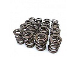 Skunk2 Racing Tuner Series Honda Integra/Acura Integra B16A/B17A/B18C DOHC VTEC Alpha - 311-05-1350