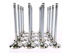 Skunk2 Racing Alpha Series Honda/Acura Stock Size H Series Valve Set - 310-05-1400