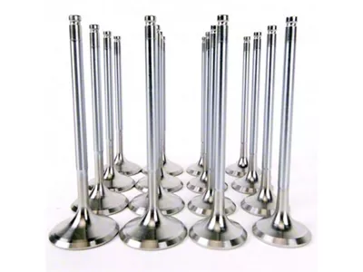Skunk2 Racing Alpha Series Honda/Acura Stock Size H Series Valve Set - 310-05-1400