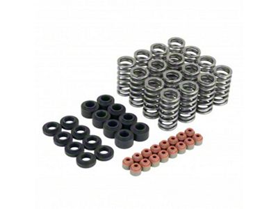 Skunk2 Racing Honda L15B7 Ultra Valve Springs and Spring Base Kit - 313-05-9400