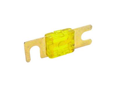 Snow Performance 100 Amp Fuse - SNF-25012