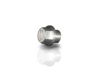 Stainless Works O2 Bung Plug - O2P
