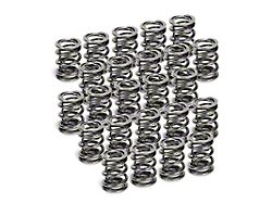Supertech BMW M50/M52/S50/S52 Dual Valve Spring - Set of 24 - SPR-H1005D-24