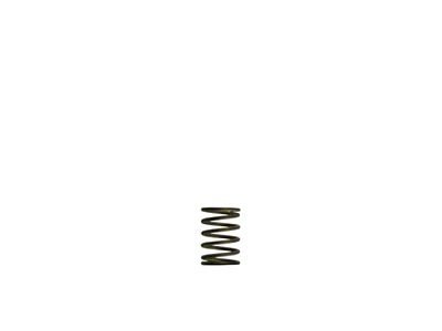 Turbosmart Gen-V WG38/40 3psi Black Inner Spring - TS-0550-3081