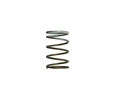 Turbosmart Gen-V WG60 7psi White Middle Spring - TS-0550-3091